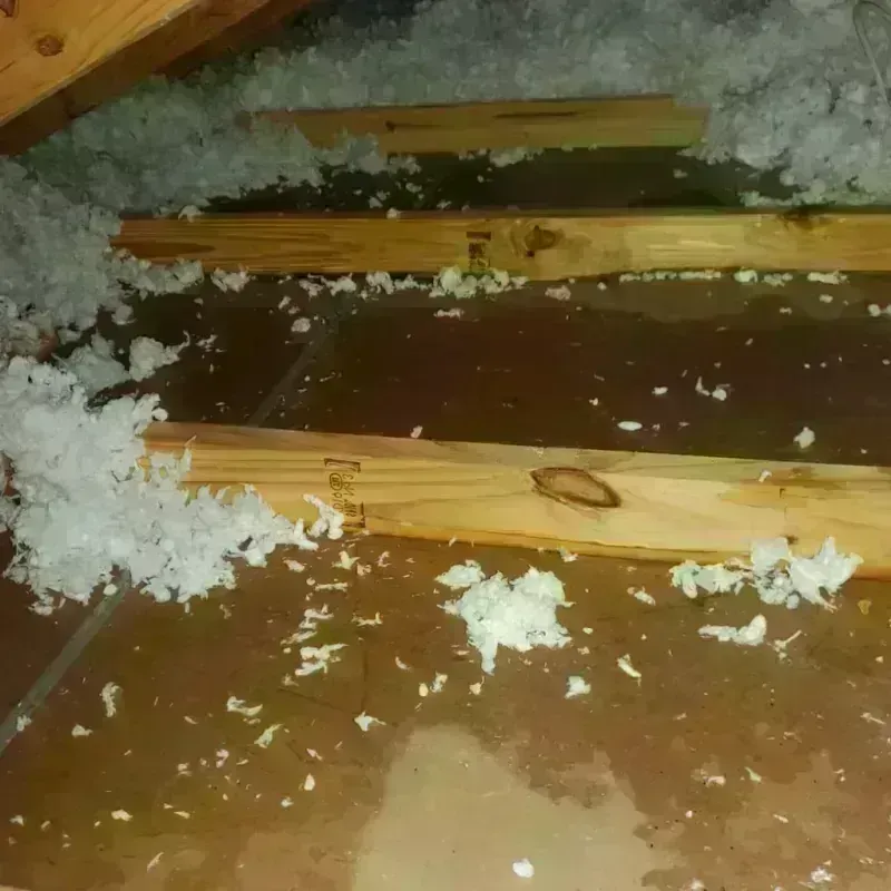 Attic Water Damage in Bentonville, AR