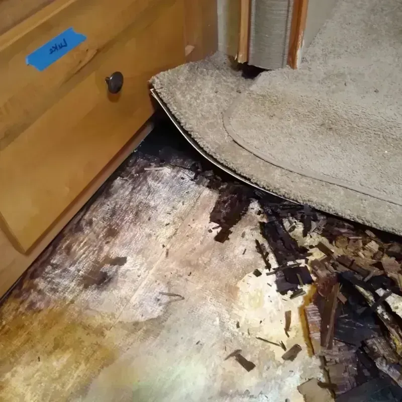 Wood Floor Water Damage in Bentonville, AR